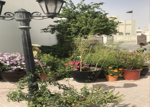 5 Bedroom villa in compound Merikh Waab.