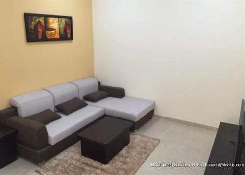 CONTEMPORARY ONE BEDROOM FLATS WITH FACILITIES