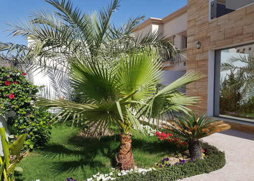 Charming 7b villa for sale in Al Thumama