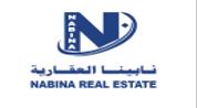 Nabina Real Estate logo image