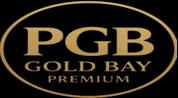 Premium Gold Bay Real Estate logo image