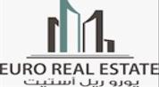 Euro Real Estate logo image