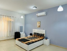 Agent Muhammad  Gohar