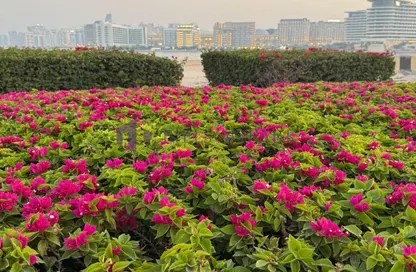 Land - Studio for sale in Qetaifan Islands - Lusail