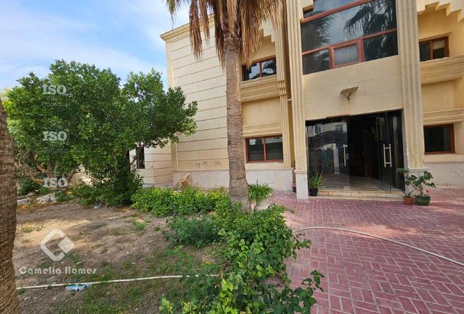 990892 - Property Image 3