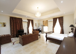 Furnished Lrge Studio Flat in Ain Khaled