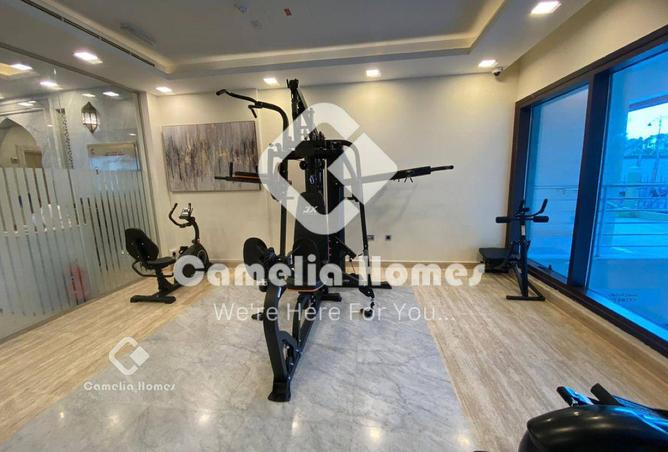 953639 - Property Image 3
