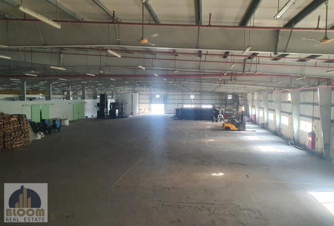 806572 - صورة العقار 3