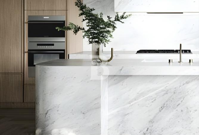 1007063 - صورة العقار 3