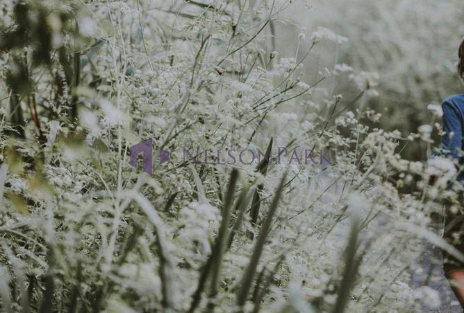 930280 - صورة العقار 3