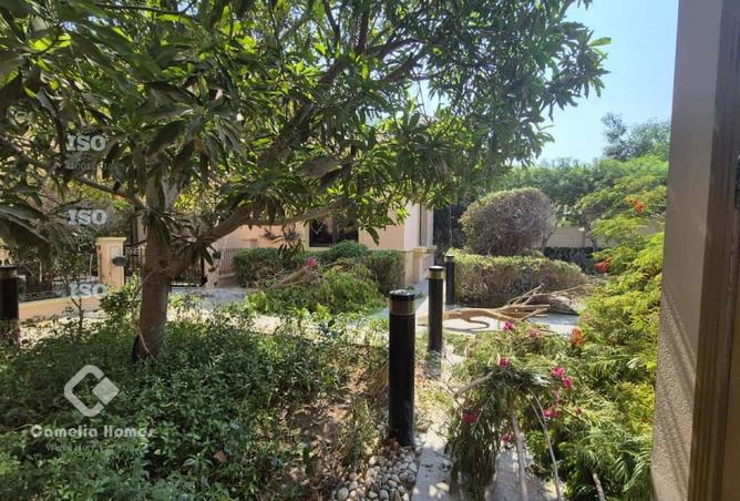 946364 - Property Image 2