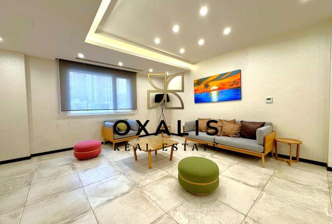 991269 - Property Image 3