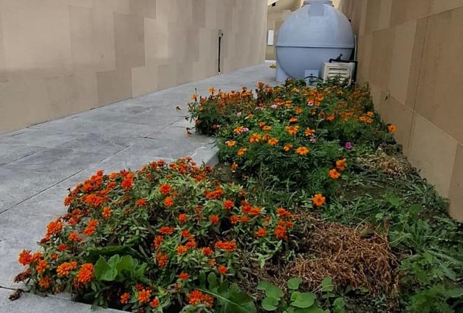 1005567 - صورة العقار 2