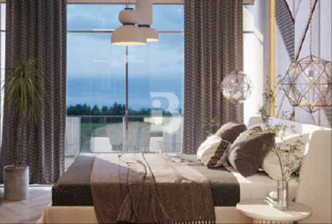 939933 - Property Image 3