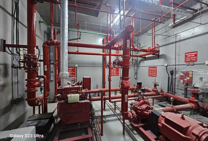 992715 - Property Image 3