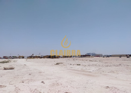 Get this immense land for rent!