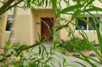 Compound - 3 Bedrooms - 3 Bathrooms for rent in Al Gharrafa - Al Gharrafa - Doha