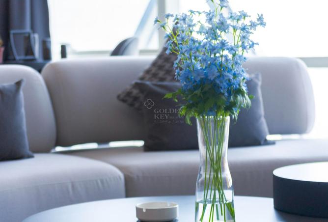 1001985 - صورة العقار 3