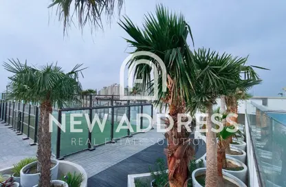 شقة - 1 حمام للبيع في البلاج الجنوبي - البلاج - جزيرة اللؤلؤة - الدوحة