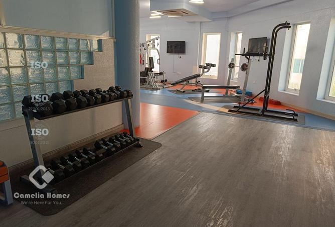 904681 - Property Image 3