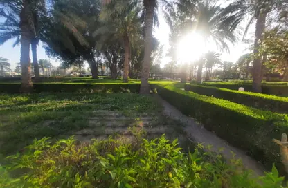 Villa - 3 Bedrooms - 3 Bathrooms for rent in West Bay Lagoon Villas - West Bay Lagoon - West Bay Lagoon - Doha
