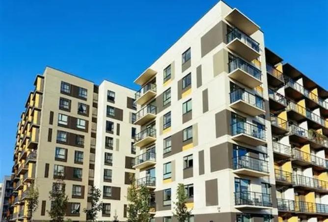 1003187 - صورة العقار 3