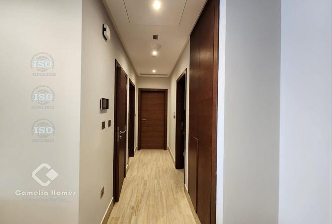 988686 - Property Image 3