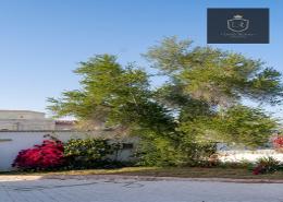 Villa - 1 bedroom - 1 bathroom for rent in Al Kharaitiyat - Al Kharaitiyat - Umm Salal Mohammad