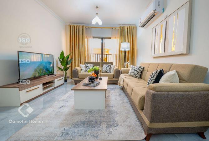 905570 - Property Image 3