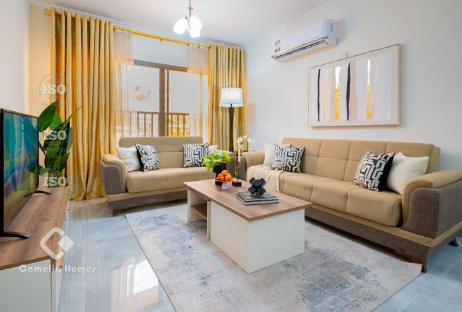 909052 - Property Image 3