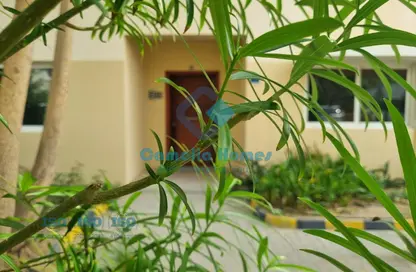 Villa - 3 Bedrooms - 3 Bathrooms for rent in Souk Al gharaffa - Al Gharrafa - Doha
