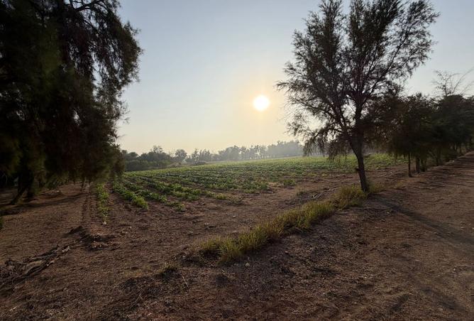 1001794 - Property Main Image