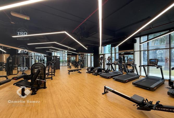 987137 - Property Image 3