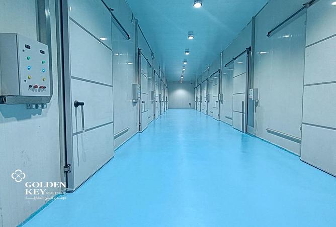 990421 - صورة العقار 2