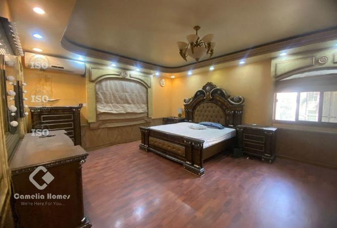 986554 - Property Image 3