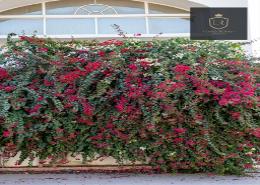 Studio - 1 bathroom for rent in Al Kharaitiyat - Al Kharaitiyat - Umm Salal Mohammad