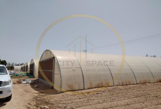 936507 - Property Image 3