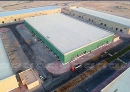 Warehouse for rent in Umm Salal Ali - Umm Salal Ali - Doha