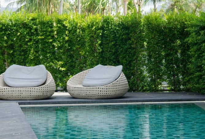 961765 - Property Image 3