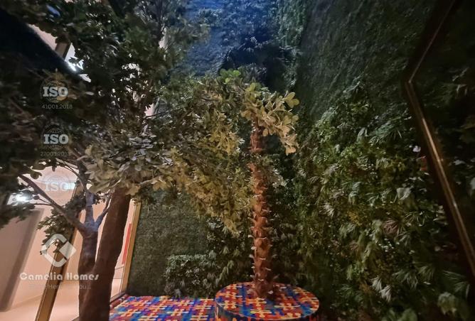 942822 - Property Image 2