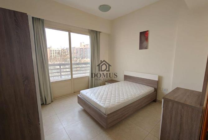 955926 - Property Image 3