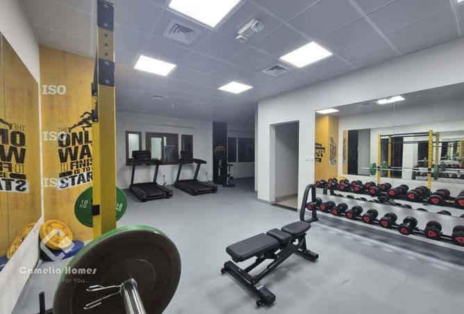 997287 - Property Image 3