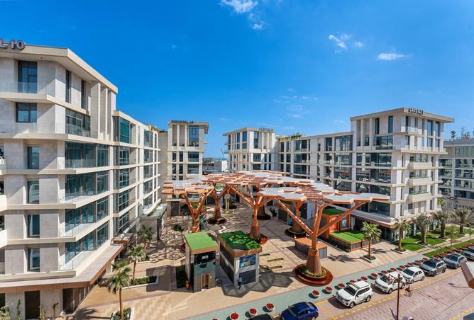 966024 - صورة العقار 3