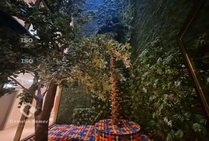 938718 - صورة العقار 2