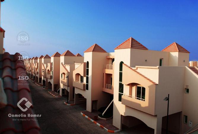 987318 - Property Image 3