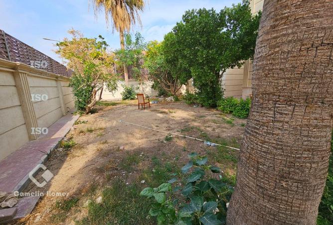 990892 - Property Image 2