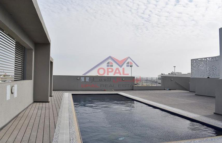 Apartment for Rent in Al Mansoura PERFECT 1 BHK FIRST INHABITANT FF IN