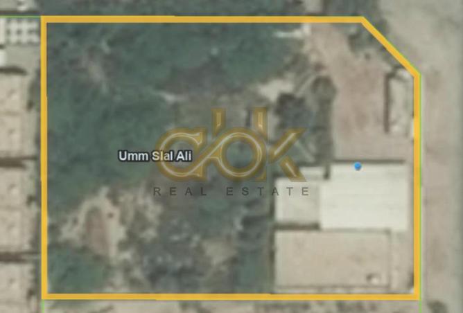 956361 - صورة العقار 3