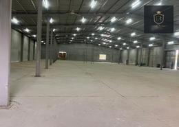 Warehouse - 6 bathrooms for rent in Umm Salal Ali - Umm Salal Ali - Doha
