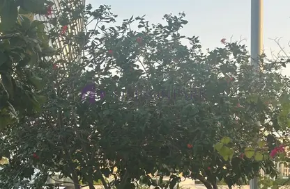 Apartment - 1 Bedroom - 1 Bathroom for sale in Dara - Fox Hills - Lusail